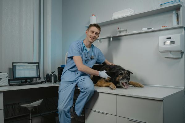 Artikel-Bild zu "Regeluntersuchungen und Impfungen bei Klein- & Heimtieren: Was Tierhalter wissen sollten" - Allgemein Erste-Hilfe-Guide