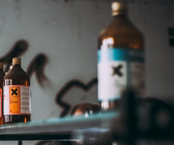 Artikel-Bild zu "Vorsicht Giftköder – Gefahren für Hunde und Katzen" - Allgemein Erste-Hilfe-Guide